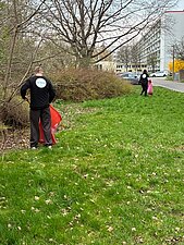 Eine Person sammelt Streumüll auf.