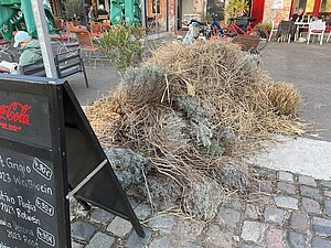 Gehäufter Grünschnitt liegt hinter einem Aufsteller. 