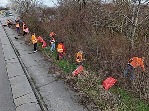 Zahlreiche Mitarbeitende der Stadtwerke sammeln Streumüll aus Gebüsch am Straßenrand.