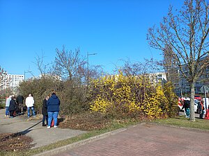 Das Bild zeigt, wie Personen Streumüll aus den Grünanlagen auflesen.