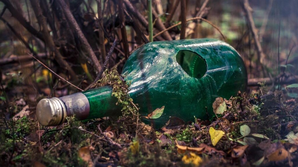 eine grüne Glasflasche unter einem Strauch auf der Erde