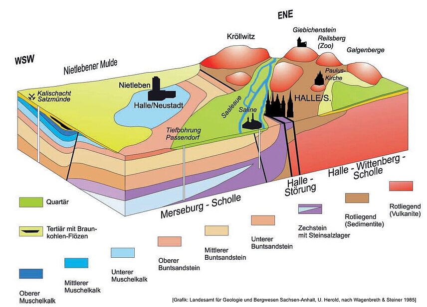 Modellbild Darstellung der geologischen Schichten rund um die Stadt Halle in verschiedenen Farben