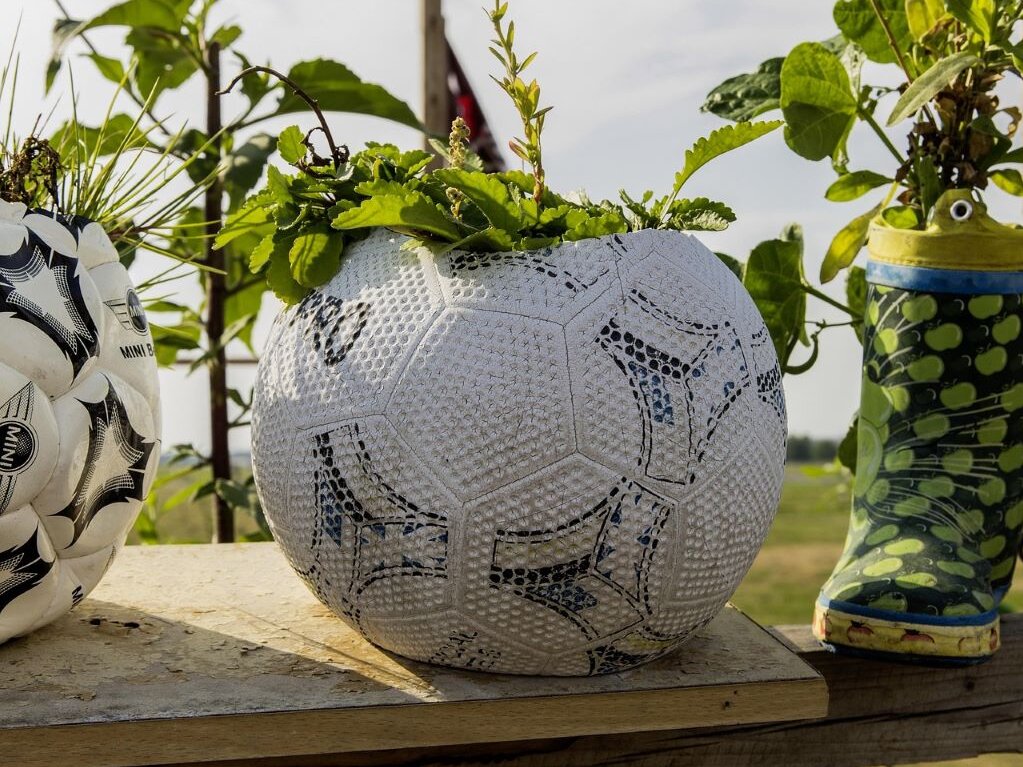 ein Fußball wurde aufgeschnitten und als Pflanztopf verwendet