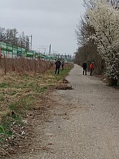 Foto zeigt fünf Personen, die Streumüll aus umliegenden Grünflächen aufsammeln.