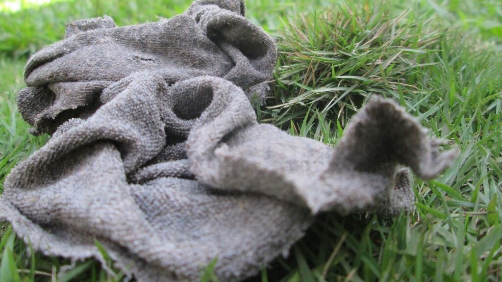 ein grauer Lappen auf einer grünen Wiese