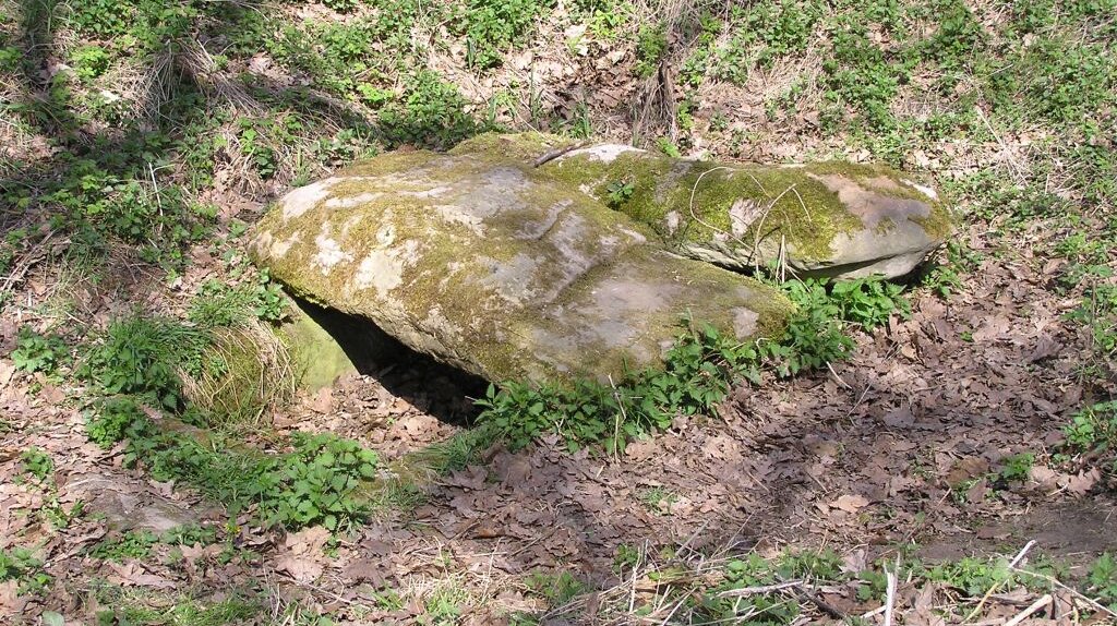 eine große Steinplatte auf dem Waldboden