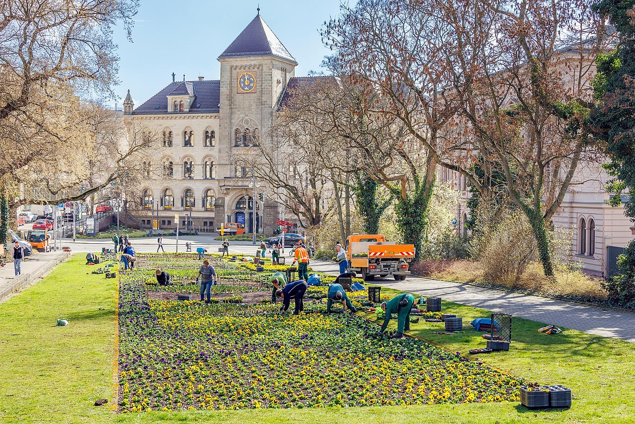 Blick auf die Grünfläche am Joliot-Curie-Platz mit Menschen, die Blumen Pflanzen. Im Hintergrund die ehemalige Hauptpost 