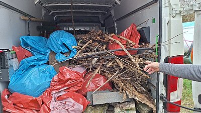 Blick in einen Container, der mit zahlreichen Müllsäcken, Gehölzen und Sperrmüll befüllt ist.