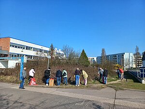 Mehrere Personen sammeln Streumüll aus den Büschen. 