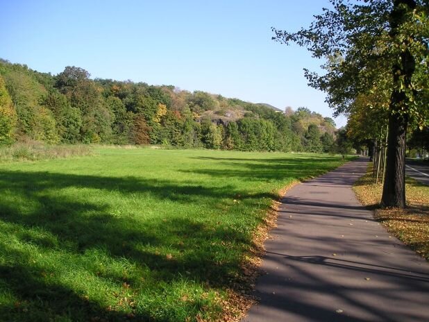 Wiese am Weg, Bäume rechts, bewachsene Felsen im Hintergrund, blauer Himmel