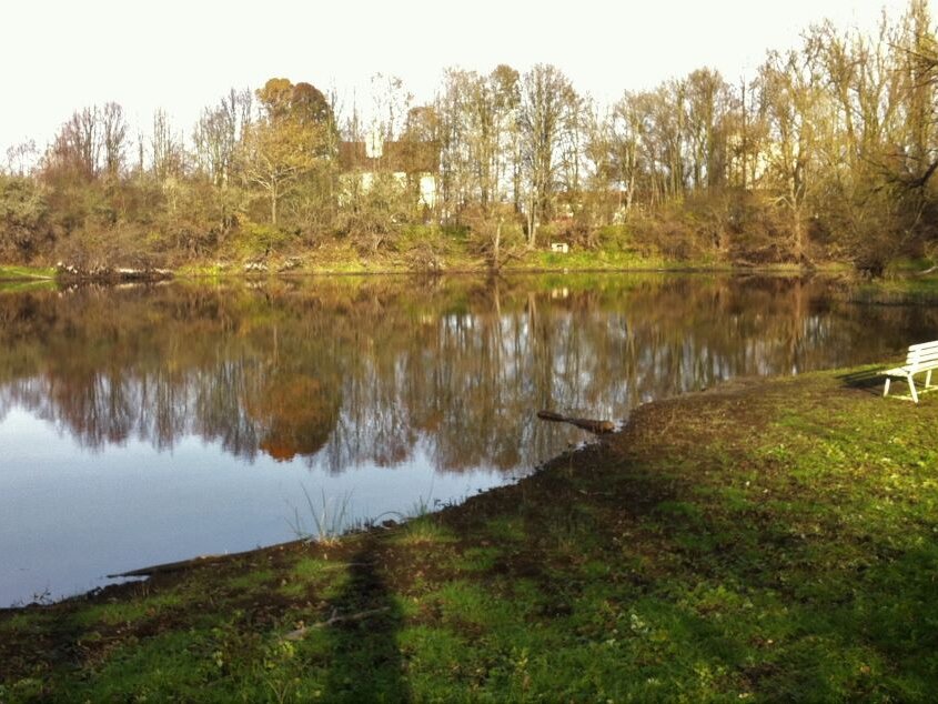 Teich im Herbstlicht, im Vordergrund eine Wiese, eine Bank steht am Wasser