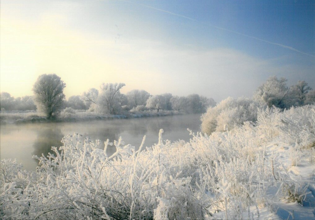 Fluss im Winter, am Ufer Bäume, Pflanzen mit Raureif, blauer Himmel mit Wolkendecke
