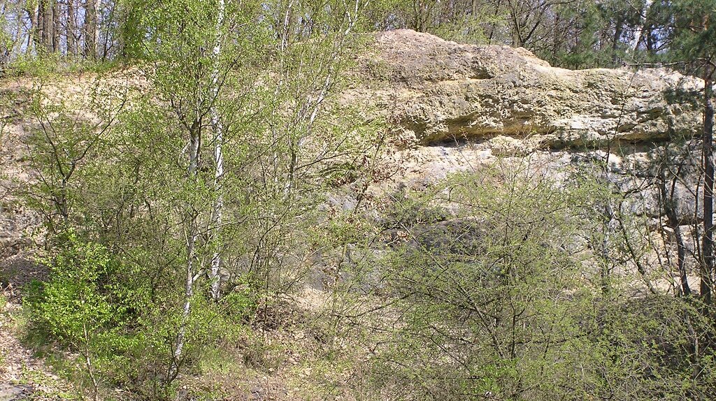 hell gräulich-weißliches Felsengestein mit grünen Pflanzen und Bäumen