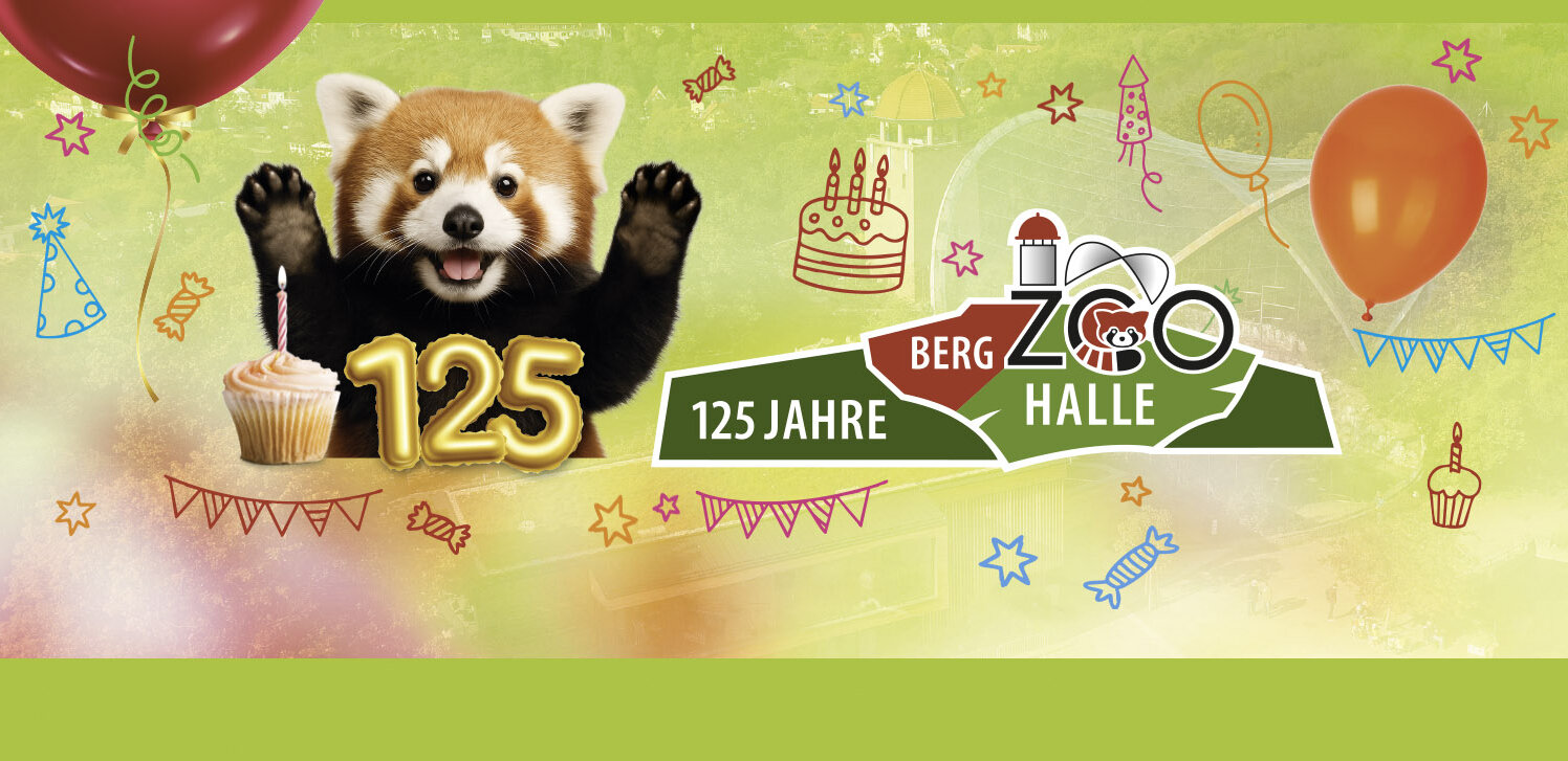 roter Panda hebt die Pfoten vor einer goldenen 125 und einem Geburtstagskuchen