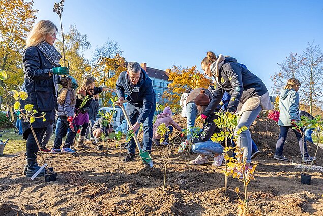 Mehrere Personen halten Schaufeln und pflanzen Setzlinge.