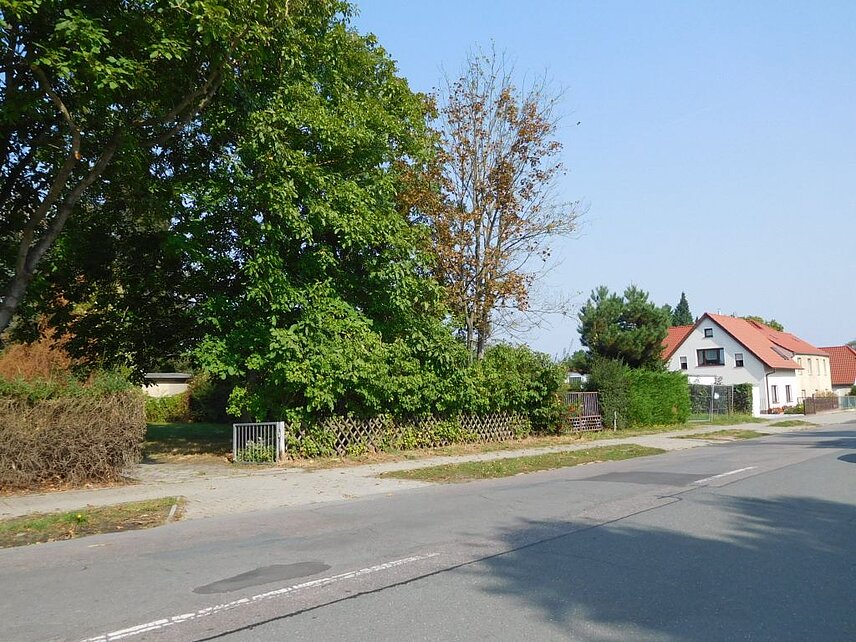 Straßenansicht eines Grundstücks in Nietleben mit Hecke und Bäumen, im Hintergrund stehen Wohnhäuser