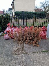 Foto, auf dem mehrere befüllte Müllsäcke zu sehen sind.