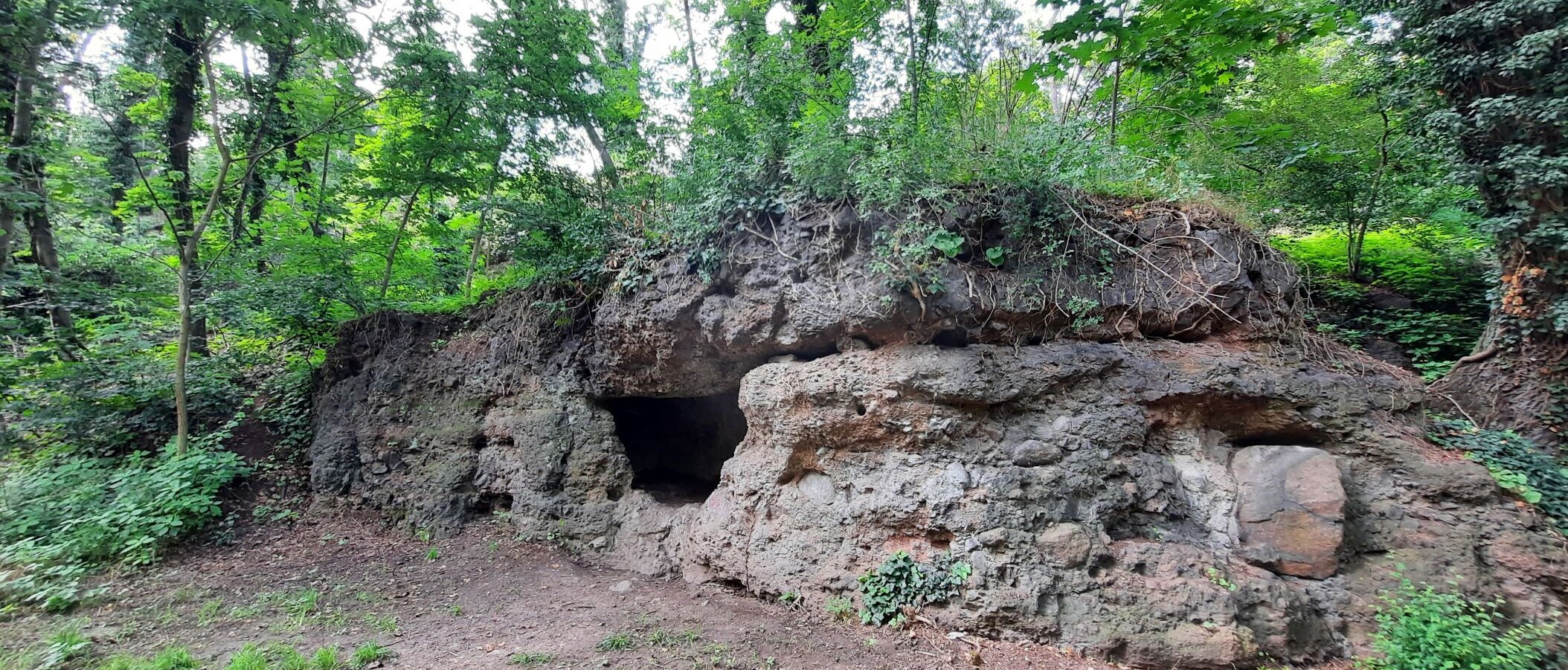 Höhle im Fels, von Bäumen und Sträuchern umgeben 