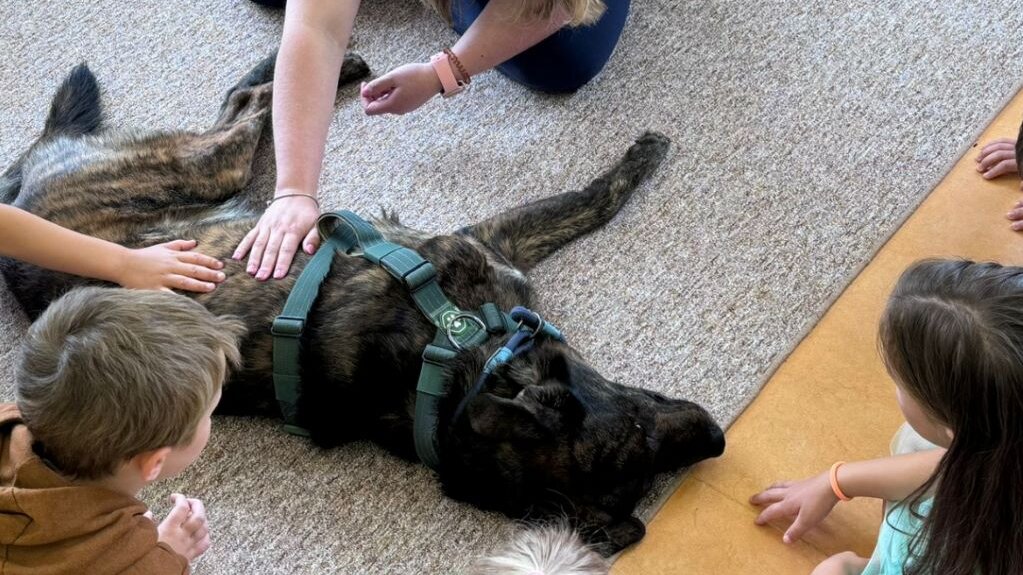 Kinder sitzen in einem Kreis. In der Mitte liegt ein Hund neben seiner Begleiterin.