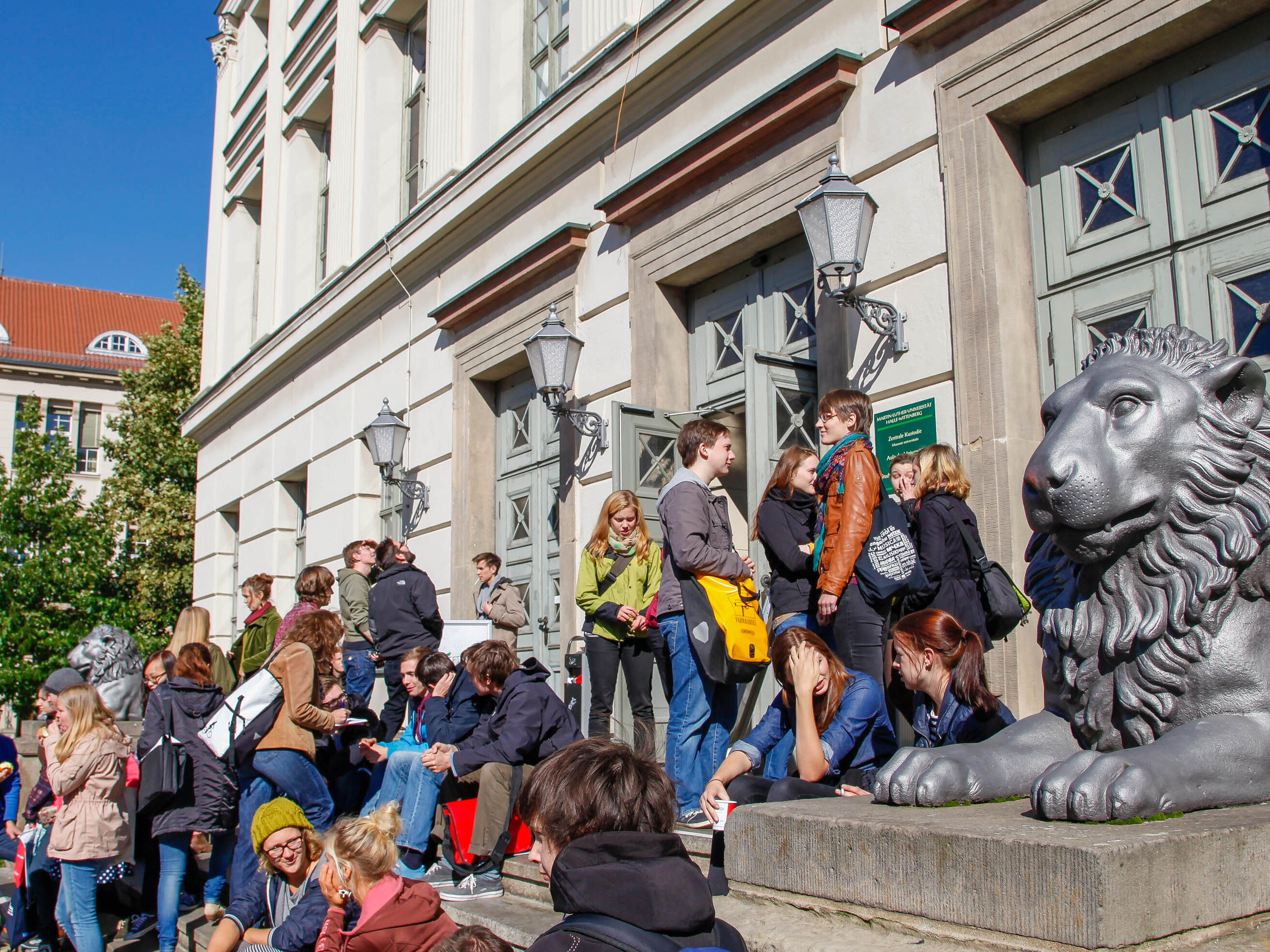 Studierende sitzen auf den Stufen des Löwengebäudes in der Sonne