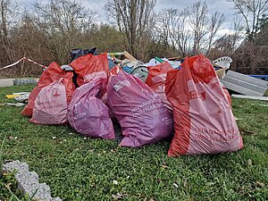 Foto von befüllten Müllsäcken, die auf einer Grünfläche abgestellt sind.
