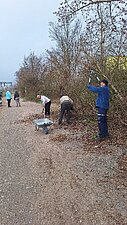 Man sieht Personen, die Streumüll aus den Büschen sammeln.