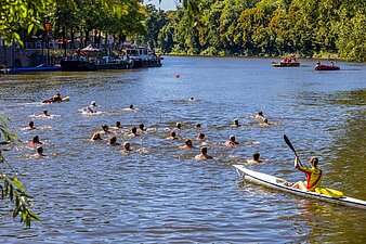 eine Gruppe von Menschen schwimmt in der Saale