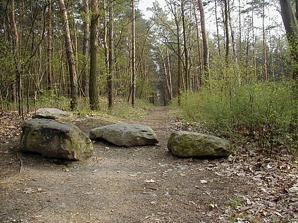 Waldweg mit drei großen Steinen, Waldbäume ringsherum