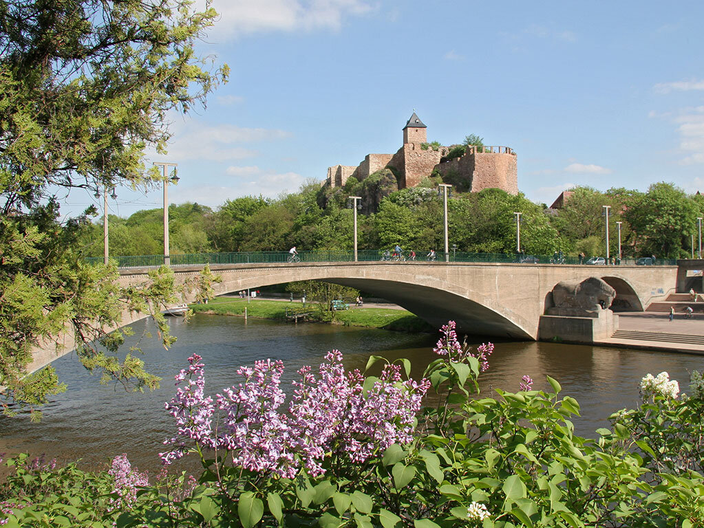 Ein Fahrgastschiff fährt auf der Saale durch die Kröllwitzer Brücke. Im Hintergrund sieht man die Burg Giebichenstein, im Vordergrund hängen blühende Fliederzweige ins Bild