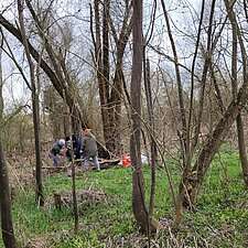 Im Hintergrund sind vier Personen im Wäldchen zu sehen.