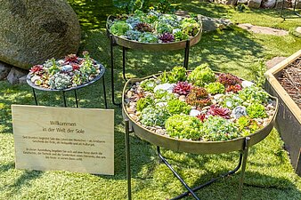Schrifttafel zur Bedeutung des Salzes